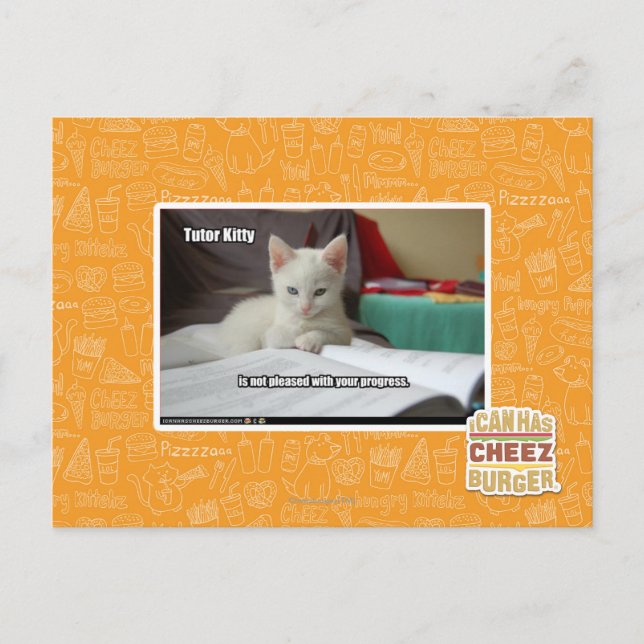 Cartão Postal Gatinho do Tutor (Frente)