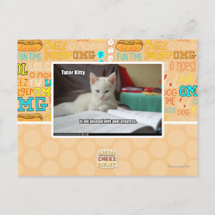 Cartão Postal Gatinho do Tutor