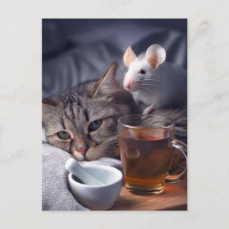 Cartão Postal Gatinho Doente Descansado Na Cama
