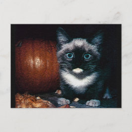 Cartão Postal Gatinho e Abóbora para o Halloween