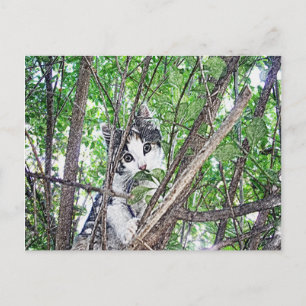 Cartão Postal Gatinho Em Arte De Lápis De Árvore,