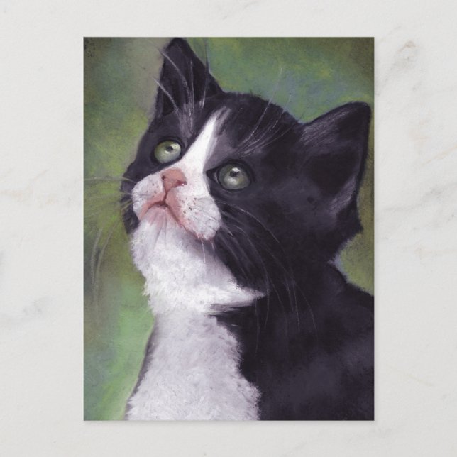 Cartão Postal Gatinho Em Pesquisa: Gato em Pastel de Óleo (Frente)