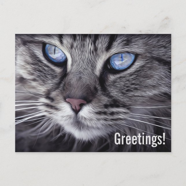 Cartão Postal Gatinho Fofo (Frente)