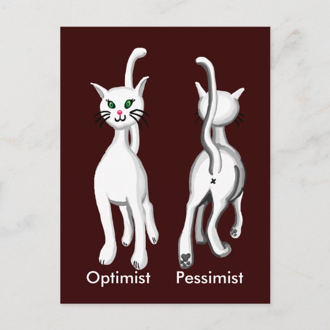 Cartão Postal Gatinho gatinho (Frente)