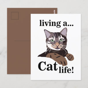 Cartão Postal Gatinho Gato Engraçado