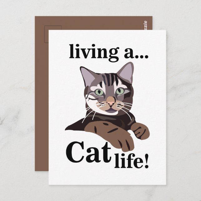 Cartão Postal Gatinho Gato Engraçado (Frente/Verso)