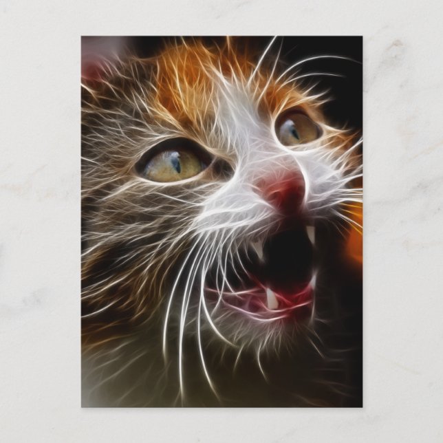 Cartão Postal Gatinho Hungry (Frente)