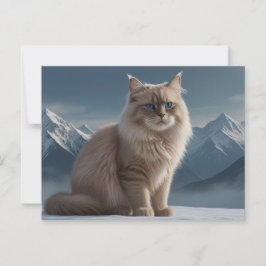 Cartão Postal Gatinho legal
