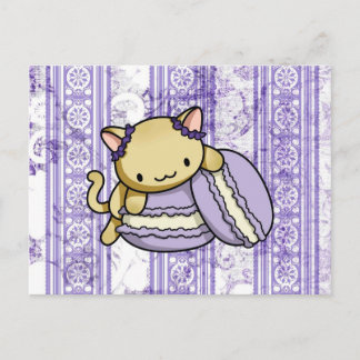 Cartão Postal Gatinho Macaron