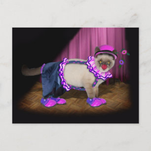 Cartão Postal Gatinho Palhaço Cute