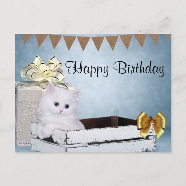 Cartão Postal Gatinho persa branco de aniversário (Frente)
