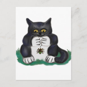 Cartão Postal Gatinho Tuxedo Preto Encontra Aranha de Jardim