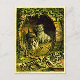 Cartão Postal Gatinho vem chamando