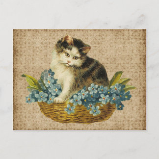 Cartão Postal gatinho vintage na cesta