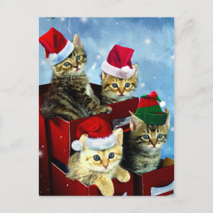 Cartão Postal Gatinhos bonitos com chapéus de Natal