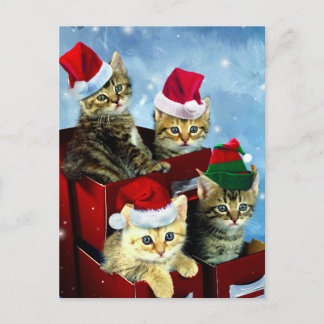 Cartão Postal Gatinhos bonitos com chapéus de Natal