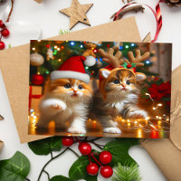 Gatinhos bonitos com Papai Noel e chapéus de rena 