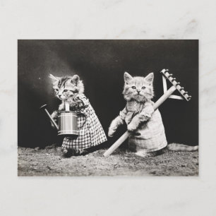 Cartão Postal Gatinhos de jardinagem   Gatinho com Rake