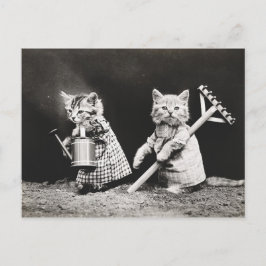 Cartão Postal Gatinhos de jardinagem | Kitty com Rake