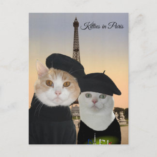 Cartão Postal Gatinhos em Paris