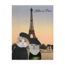 Gatinhos em Paris