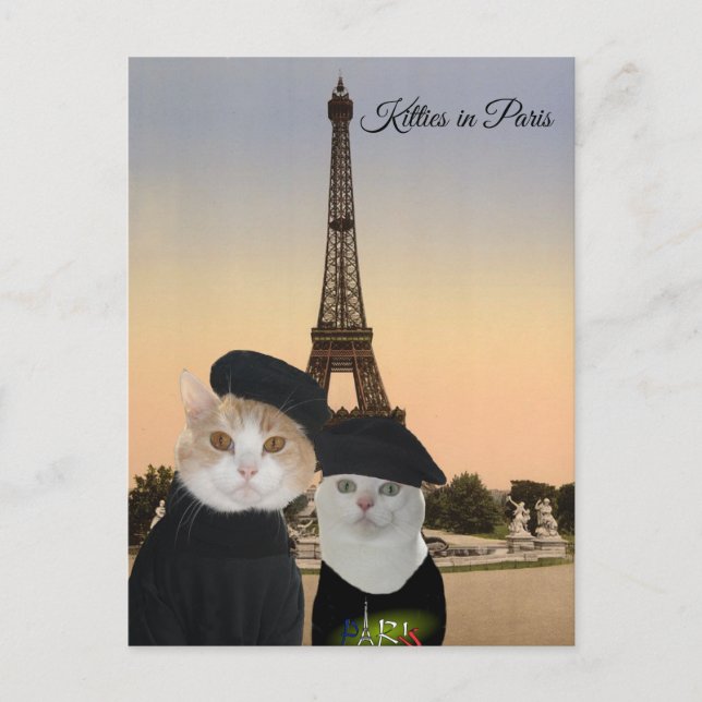 Cartão Postal Gatinhos em Paris (Frente)