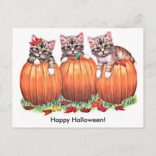 Cartão Postal Gatinhos em Pumpkins para o Dia das Bruxas