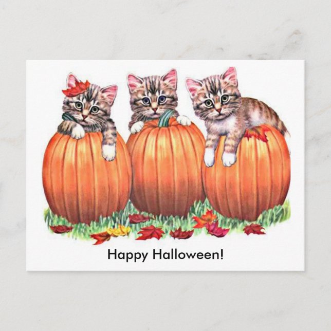Cartão Postal Gatinhos em Pumpkins para o Dia das Bruxas (Frente)