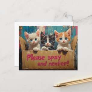 Cartão Postal Gatinhos em uma caixa, por favor, pague e neutra