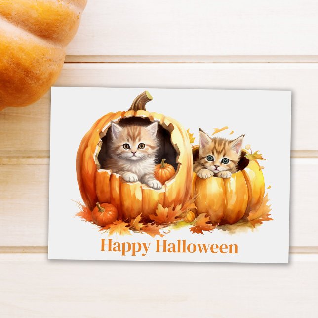 Cartão Postal Gatinhos no Halloween de Pumpkins (Cute Kitten in Pumpkin Halloween Postcard on white table next to a pumpkin)