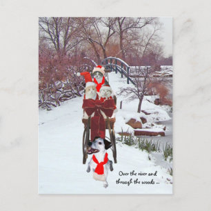 Cartão Postal Gatinhos Sleigh Ride