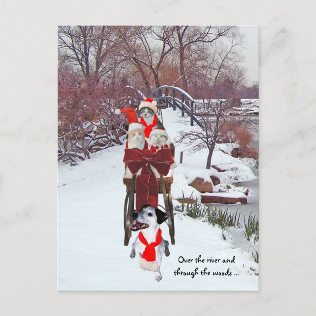 Cartão Postal Gatinhos Sleigh Ride (Frente)