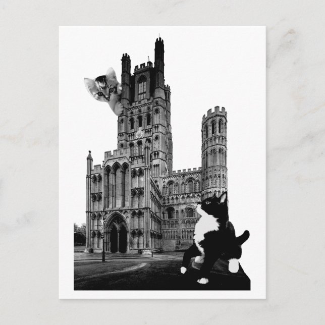 Cartão Postal Gatinhos tocando na Catedral de Ely (Frente)