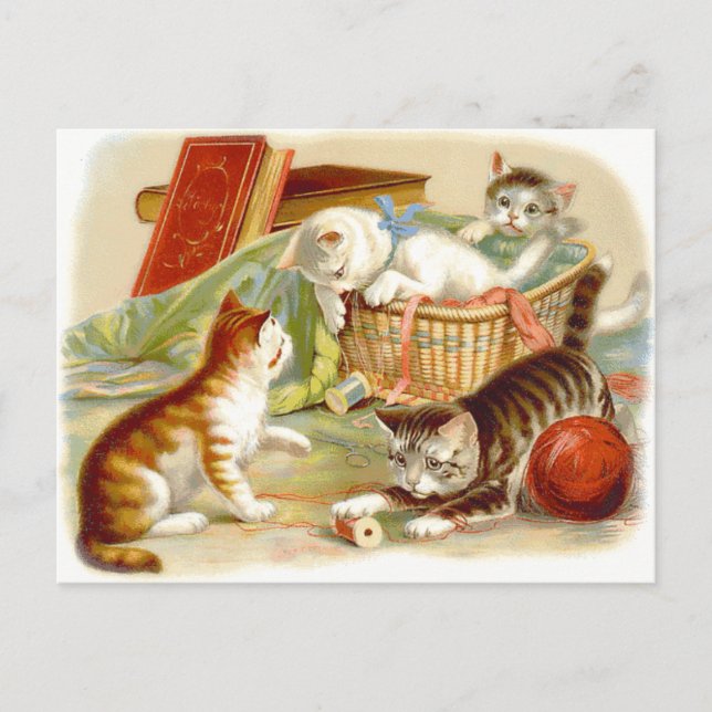 Cartão Postal Gatinhos Vintage Divertidos (Frente)