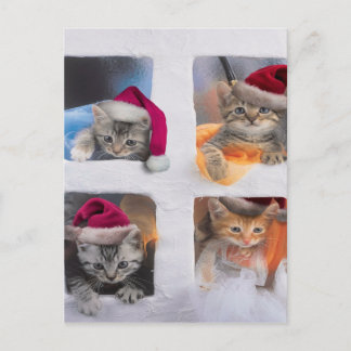 Cartão Postal Gatinhos X-mas bonitos nas janelas