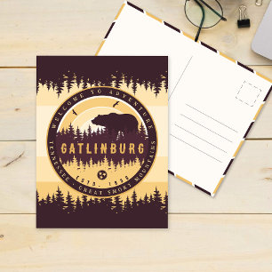Cartão Postal Gatlinburg Tennessee Bear Pine Nature