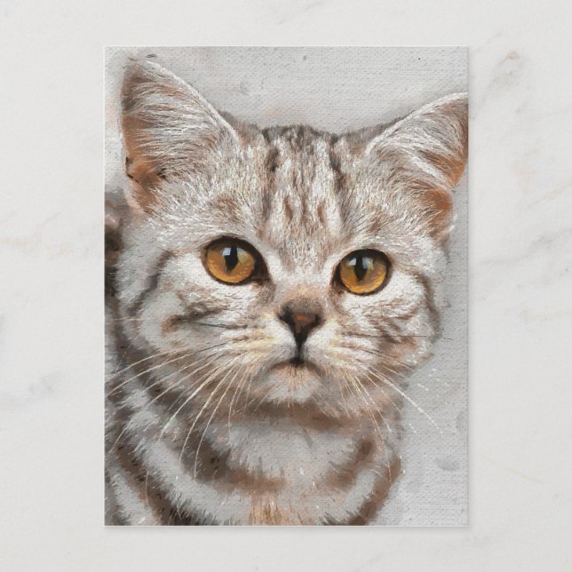 Cartão Postal gato (Frente)