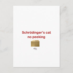 Cartão Postal gato