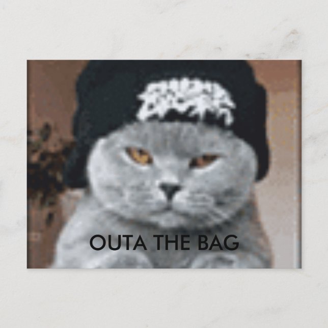 CARTÃO POSTAL GATO (Frente)