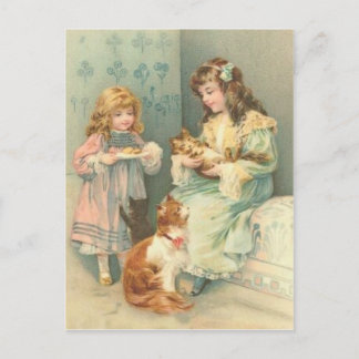 Cartão Postal Gato