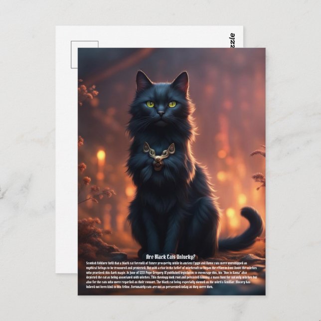 Cartão Postal Gato (Frente/Verso)