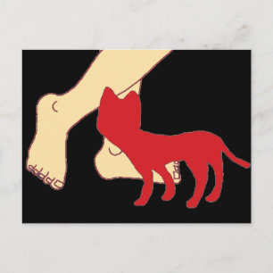 Cartão Postal Gato