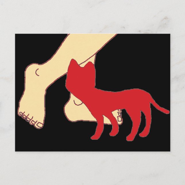 Cartão Postal Gato (Frente)