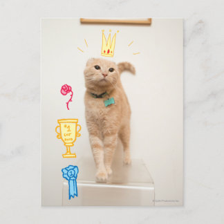 Cartão Postal Gato #1