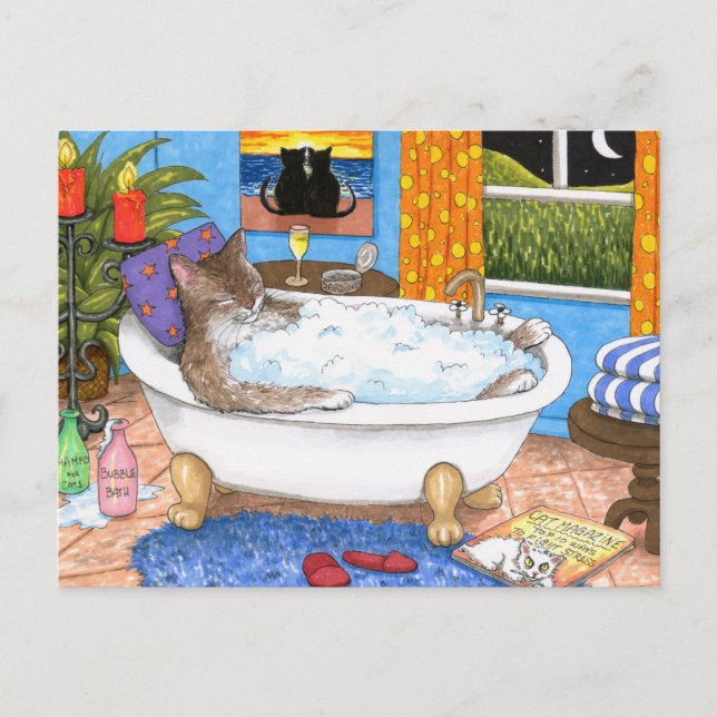 Cartão Postal gato 567 (Frente)