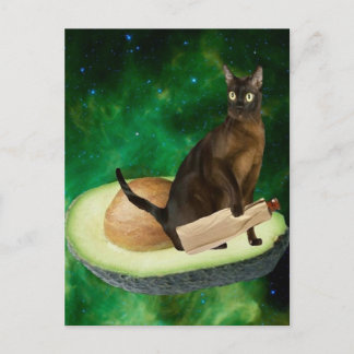 Cartão Postal gato abacado