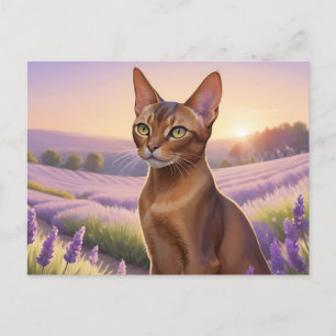 Cartão Postal Gato Abissino em Campo de Lavanda