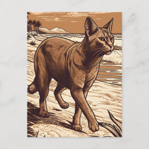 Cartão Postal Gato Abissino numa praia tropical durante o pôr do