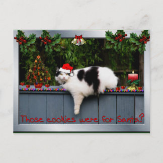 Cartão Postal Gato Adorável de Cookie