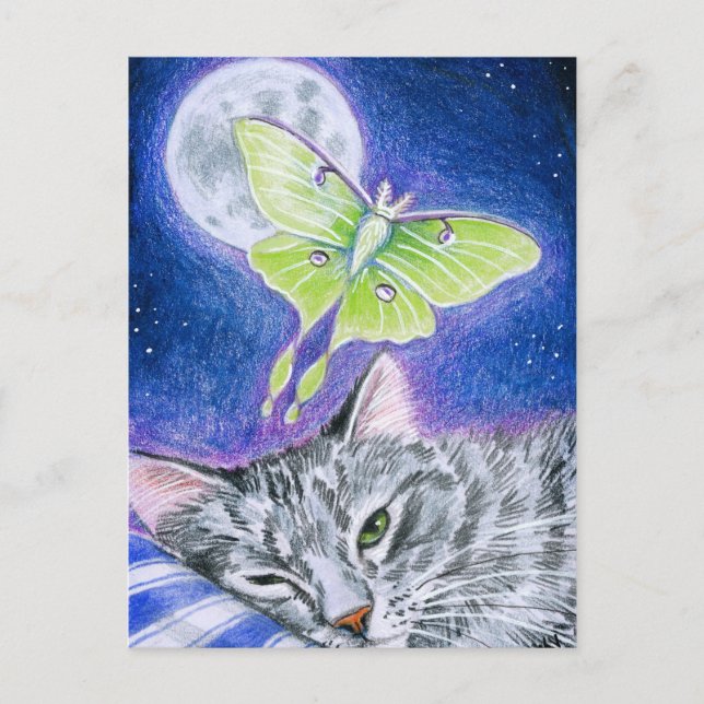 Cartão Postal Gato adormecido com Luna Moth, Cartão-postal da Lu (Frente)
